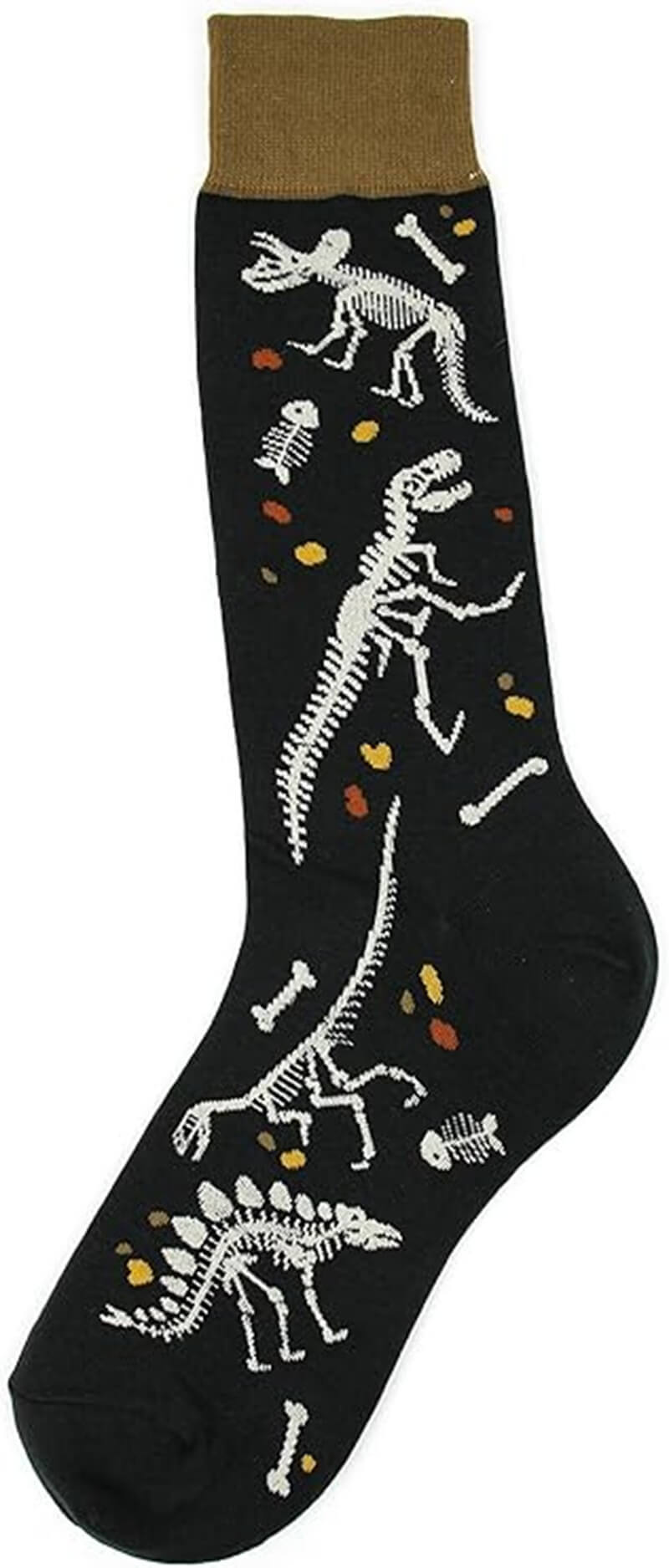 Dino Bones