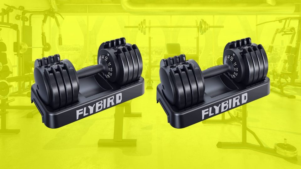 Flybird Adjustable Dumbbell Changes Weight Fast and Saves Space in Your Home Gym