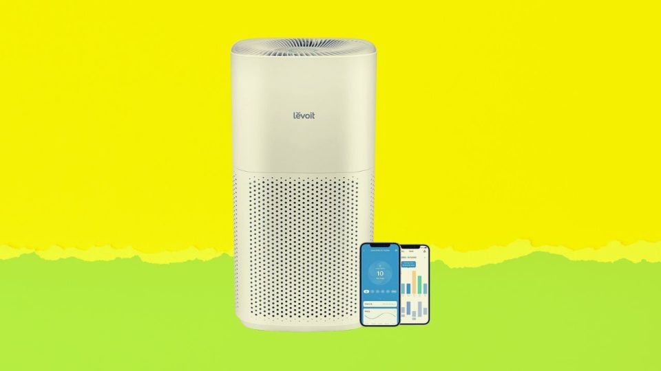 LEVOIT Air Purifier HEPA Filter Removes 99.97% of Particles, Smoke, and More