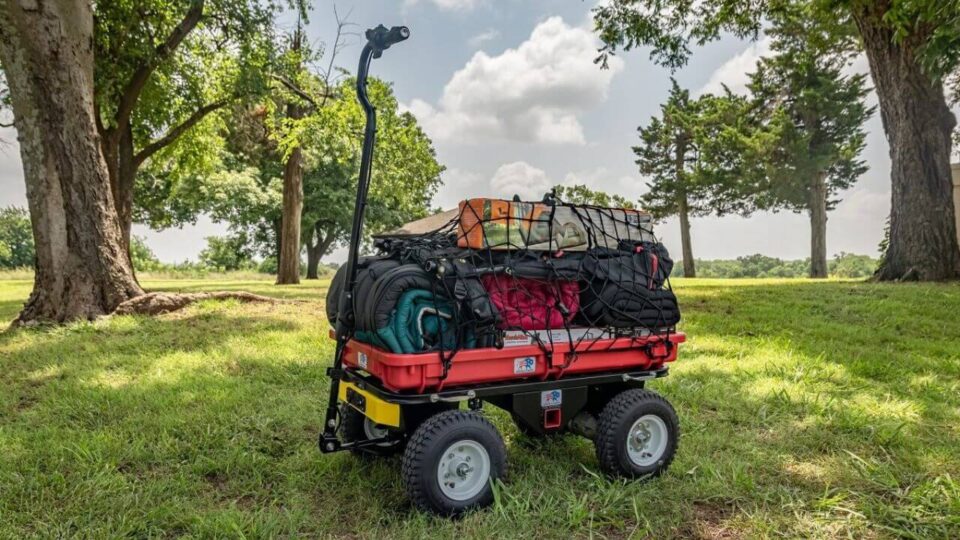 Buffalo Carts are Fully Customizable Electric Powered Transports