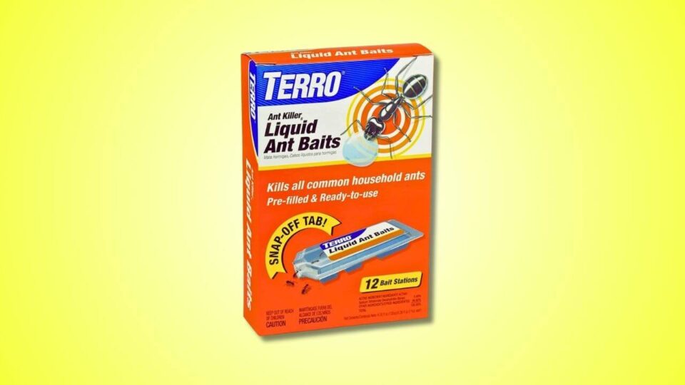 Terro Liquid Ant Killer Eliminates Common Household Ants