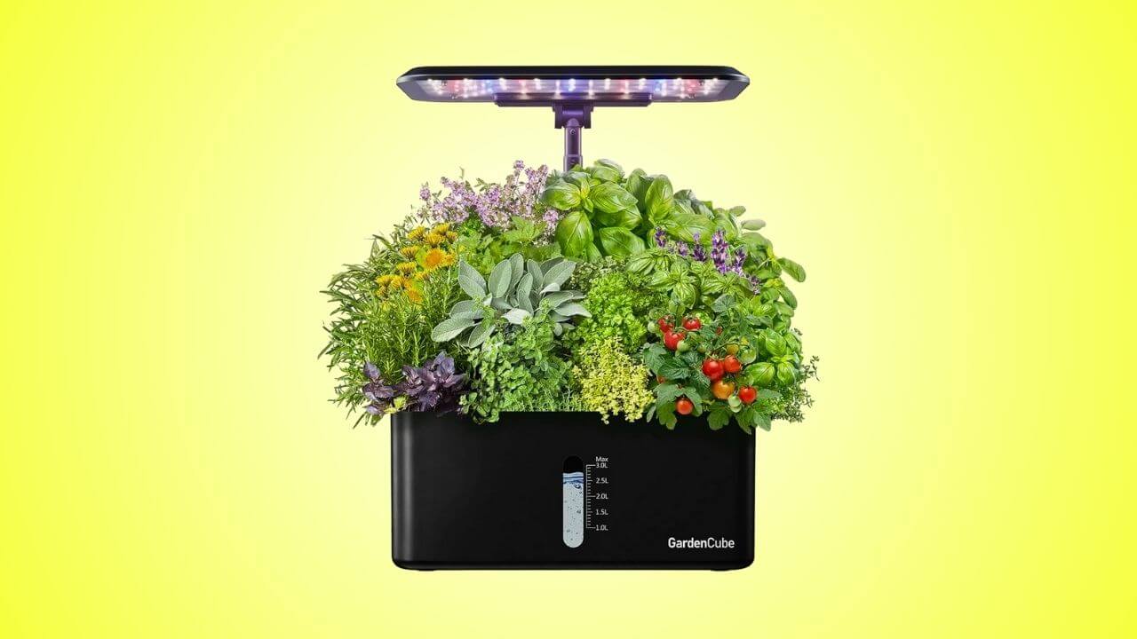 The 9 Best Indoor Smart Gardens (Mid-Sized) - GardenCube Hydroponics Growing System Indoor Garden