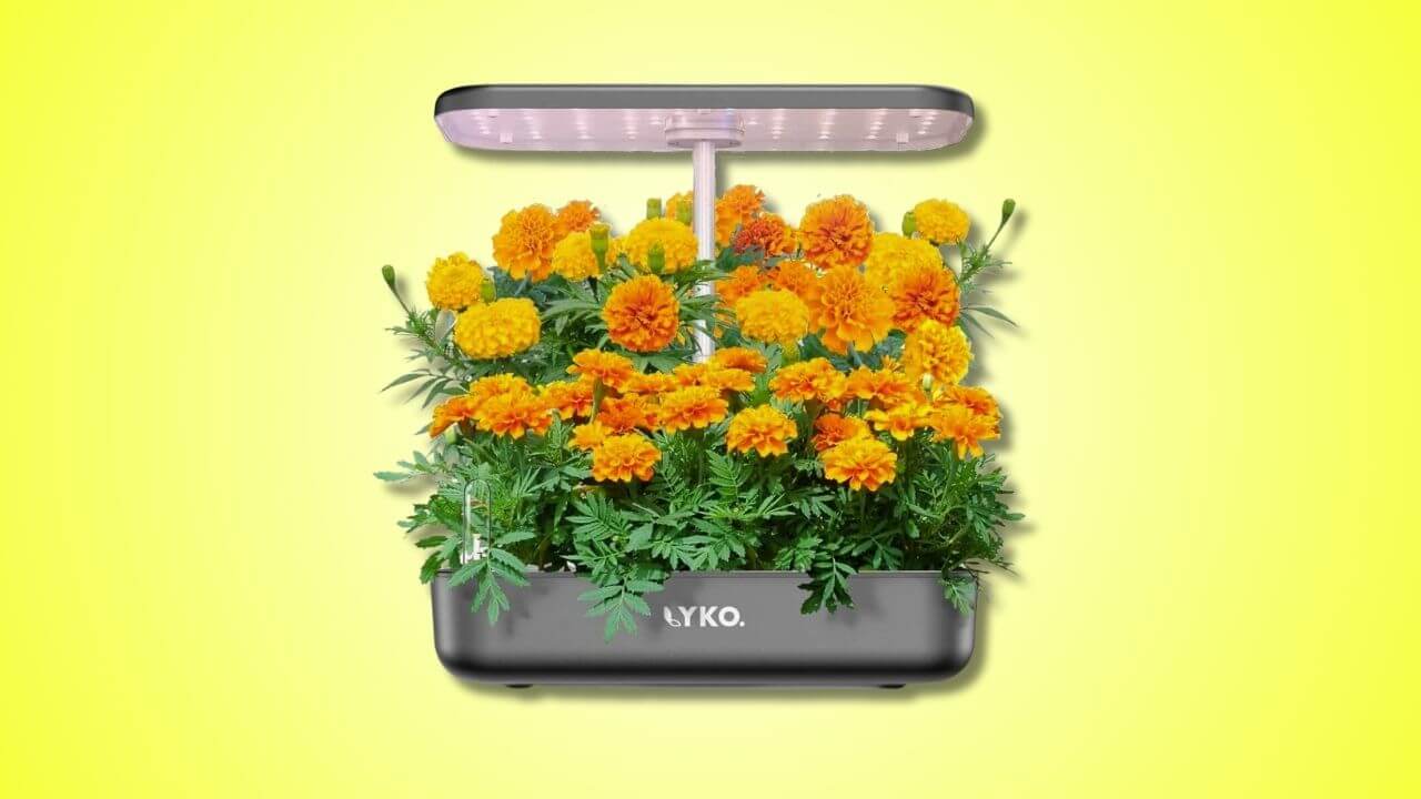 The 9 Best Indoor Smart Gardens (Mid-Sized) - LYKO 12 Pod Indoor Hydroponics Growing System