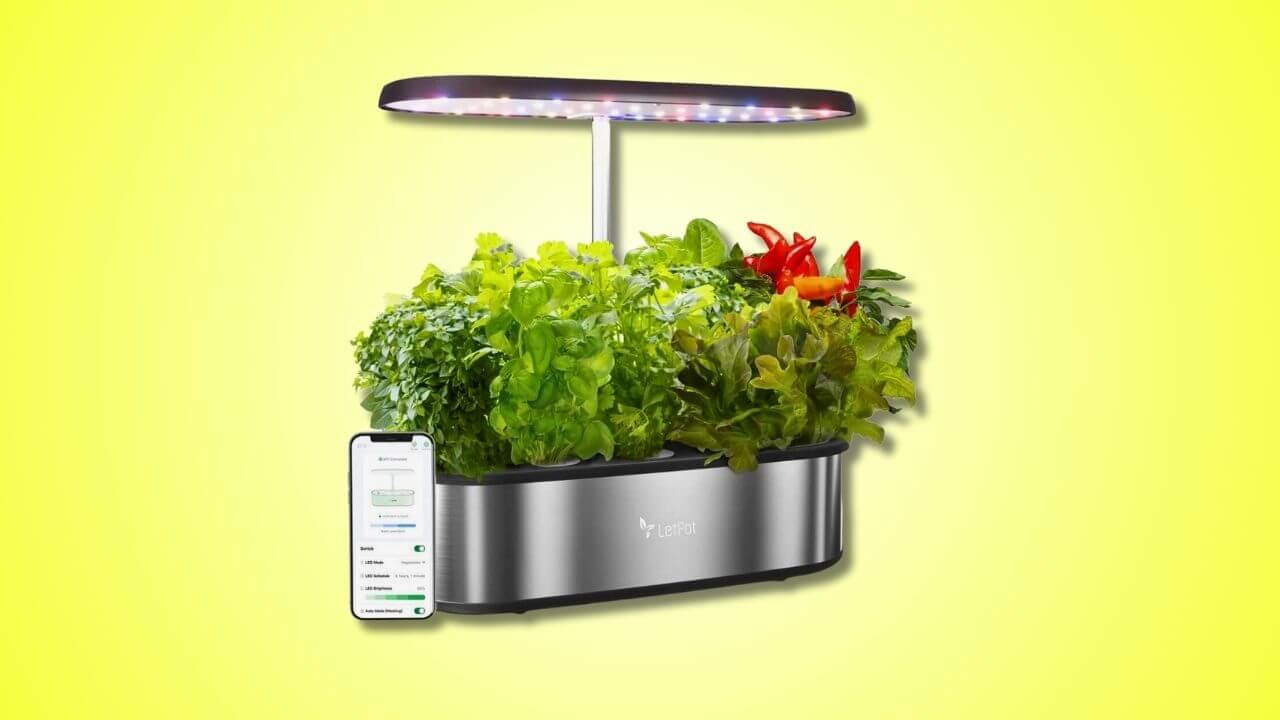The 9 Best Indoor Smart Gardens (Mid-Sized) - LetPot 12 Pod Smart Hydroponics Growing System