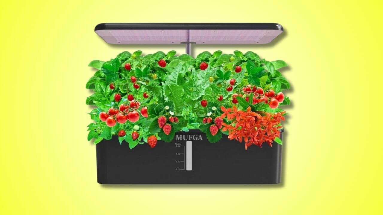 The 9 Best Indoor Smart Gardens (Mid-Sized) - MUFGA 18 Pods Indoor Gardening System with LED Grow Light