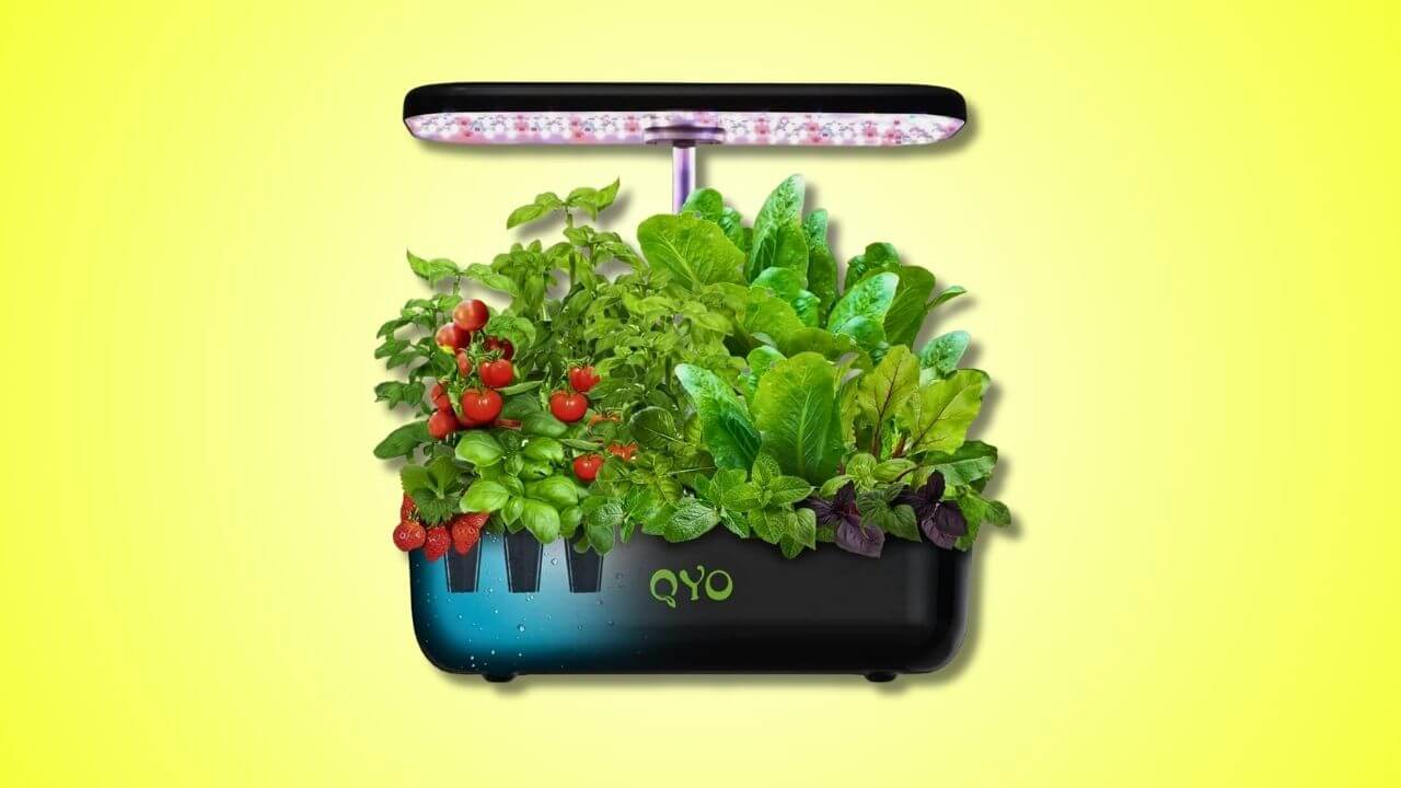 The 9 Best Indoor Smart Gardens (Mid-Sized) - QYO Hydroponics 12 Pod Indoor Growing System