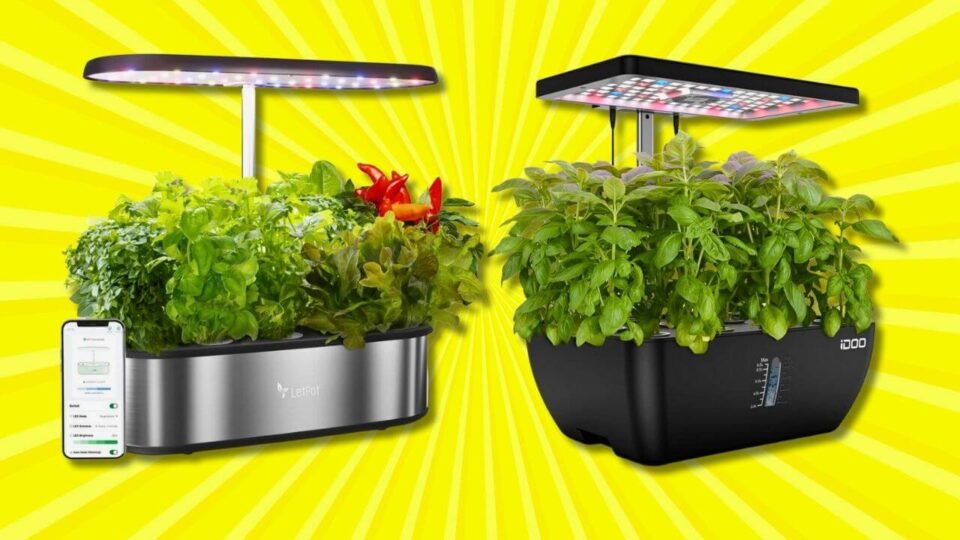 The 9 Best Indoor Smart Gardens (Mid-Sized) - TF Featured-Image-1280x720
