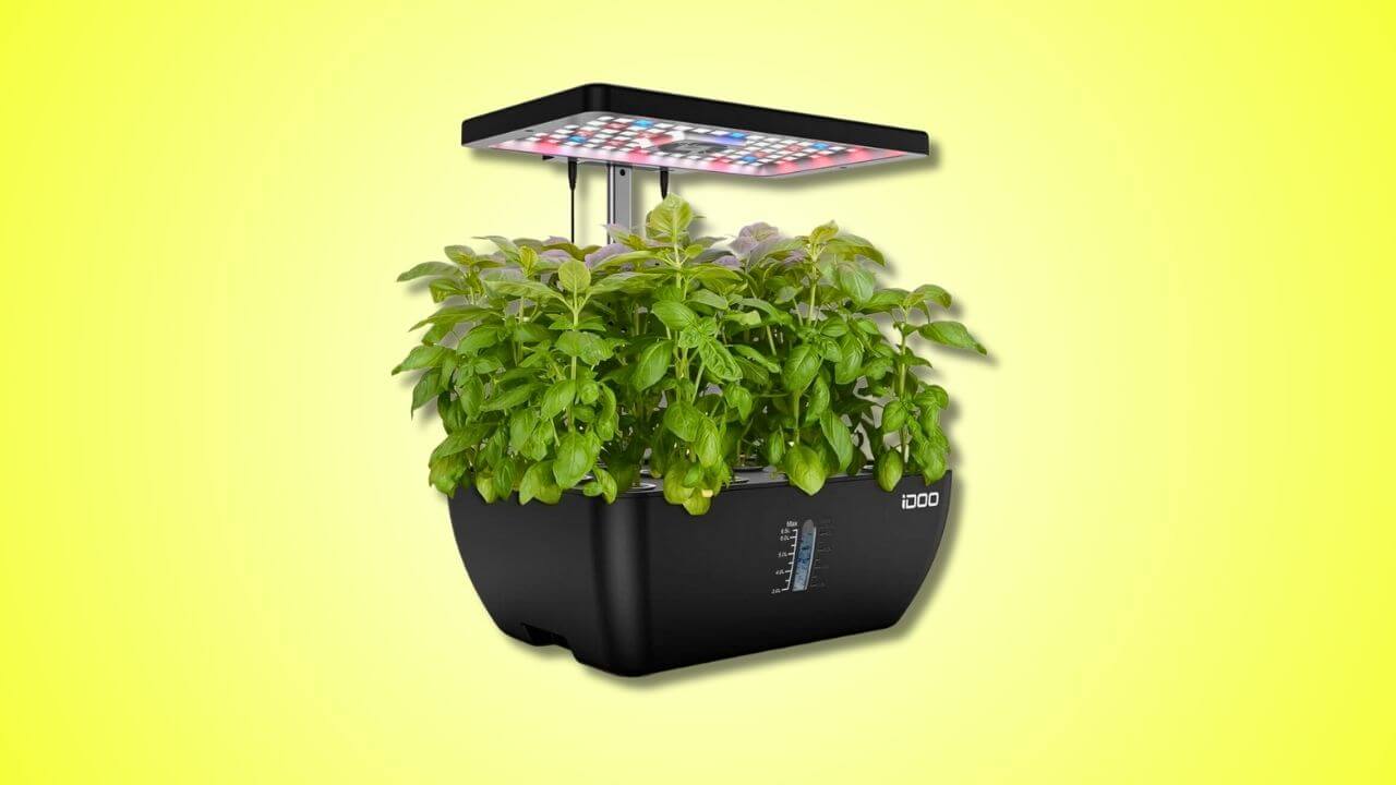 The 9 Best Indoor Smart Gardens (Mid-Sized) - iDOO 12 Pods Hydroponics Growing System