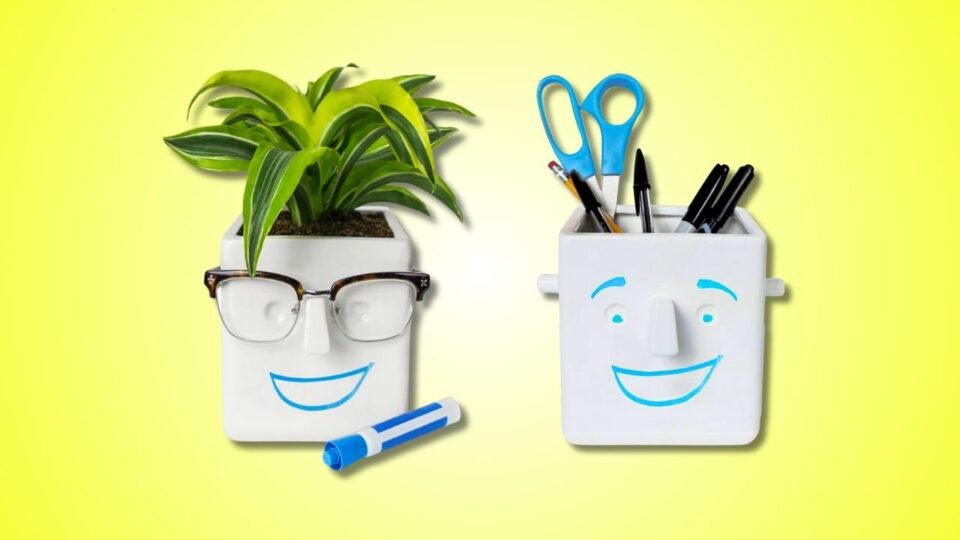 30 Watt Face Plant Pot Holds Small Plants, Stationary, Your Eye Glasses & You Can Draw on It