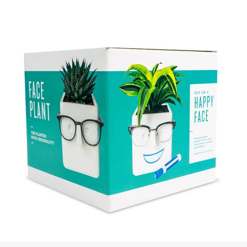 30 Watt Face Plant Pot Holds Small Plants, Stationary, Your Eye Glasses & You Can Draw on It