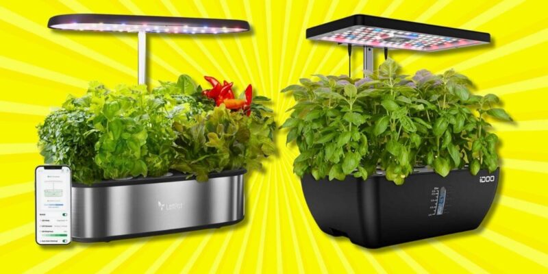 The 9 Best Hydroponic Indoor Smart Gardens (Mid-Sized)